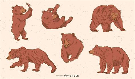 brown bear vector and graphics to download