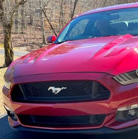6th Gen 2015 Ford Mustang Gt Premium Low Miles For Sale Mustangcarplace