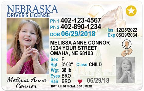 Nebraska Kid Driver License For Children Under 12 1 Cute Pooch