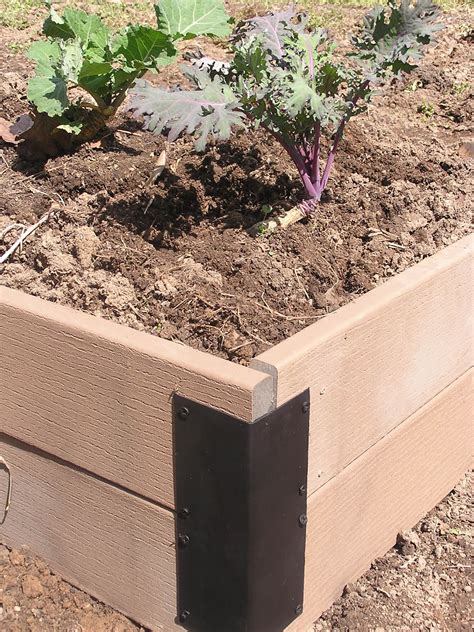The Clean Green Homestead: New Raised Beds & Frugal ...