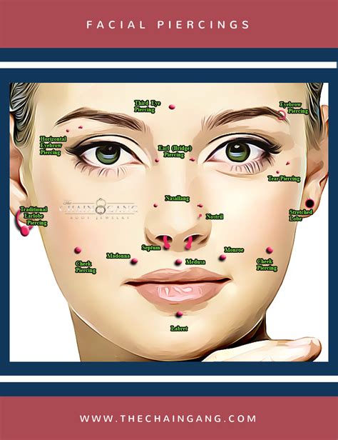 Types Of Facial Piercings Chart