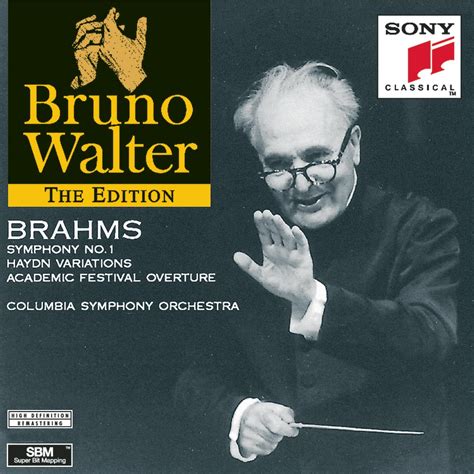 brahms symphony no 1 haydn variations and academic festival overture cds and vinyl