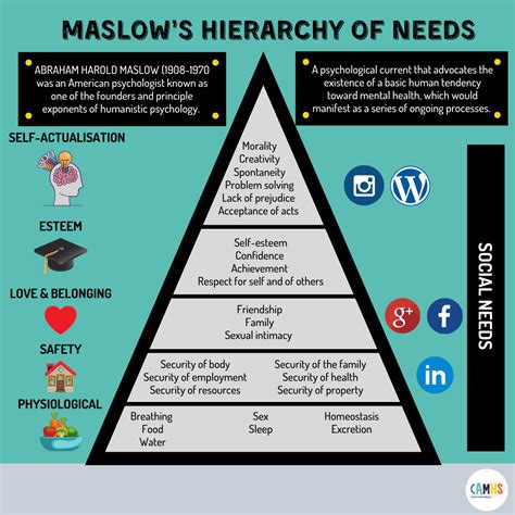 Maslows Hierarchy Of Needs Camhs Professionals