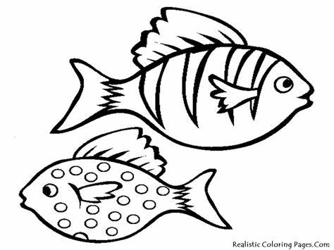 Download aquarium fish free printable coloring sheet , realistic 