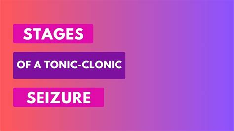 The Stages Of A Tonic Clonic Seizure Youtube