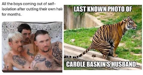 55 Hilarious Tiger King Memes We All Need Right Now