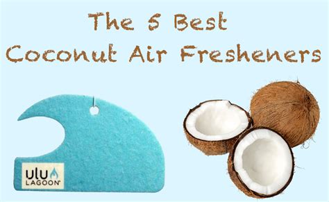 Best Surf Wax Coconut Air Fresheners Review Top 5 Buyers Guide