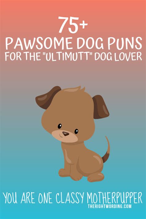 Dog Puns Birthday Cards You Are Spectacular Dog In Glasses Birthday