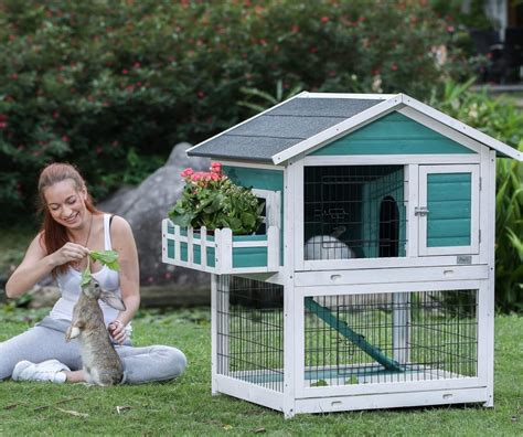 The Best Rabbit Hutch Brands To Keep Your Bunny Safe Happy And Healthy
