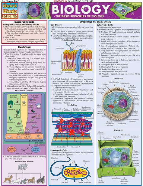 The Basic Principles Of Biology Tech Infographics