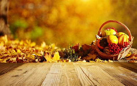 Harvest Autumn Wallpapers Wallpaper Cave