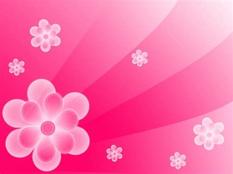 Flower Pink Backgrounds Wallpaper Cave