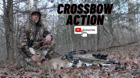 Late Season Success With A Crossbow Youtube