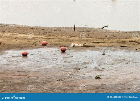 Dry Lake Bed With Debris Trees And Stumps Stock Image Image Of