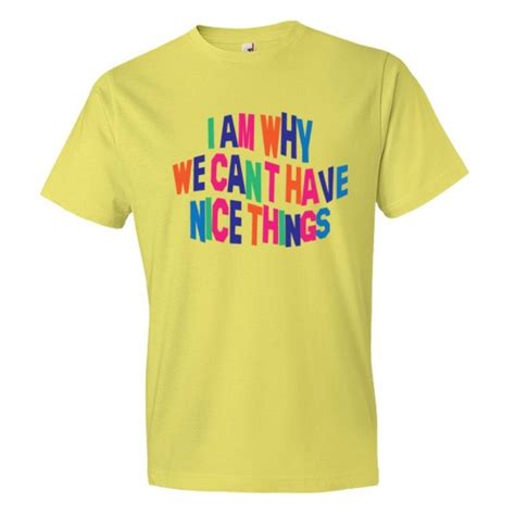 I Am Why We Cant Have Nice Things Tee Shirt