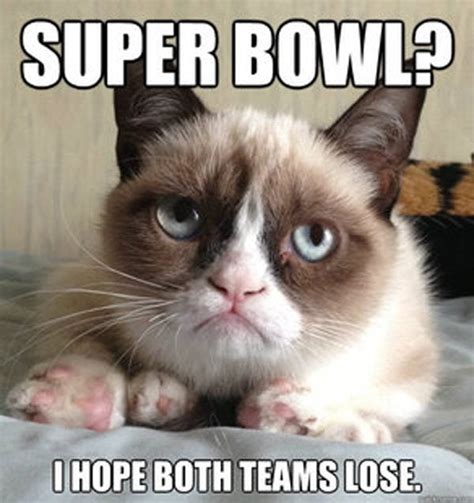 9 Best Grumpy Cat Memes