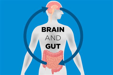 Eat Your Way To Better Moods With Gut Healthy Foods Nourish Thrive