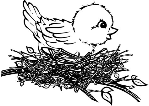 Collection Of Nest Drawing Png Pluspng