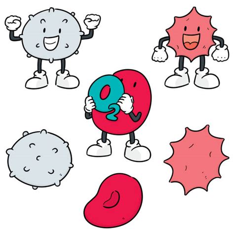 White Blood Cell Clip Art Illustrations Royalty Free Vector Graphics
