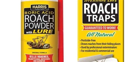 Best Roach Killer Boric Acid