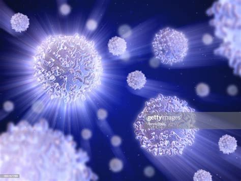 White Blood Cells High Res Stock Photo Getty Images