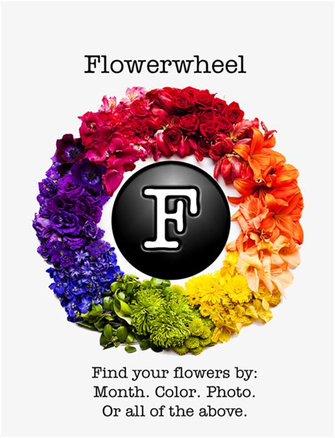 Sep 23, 2020 · the best part is that this app is 100% free and it is constantly updated and improved. The Flower Wheel App for iPhones & iPads | Flirty Fleurs ...