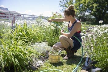 And without any legal protection in your state, your option at this point looks to be dealing with the problem on your own. Concentrated Salt Water to Kill Plants | Home Guides | SF Gate