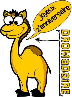 Découvrez les cartes pour adultes, pour enfant, pour anniversaire en créez votre compte (gratuit). Carte anniversaire dromadaire humour - 1jour1col