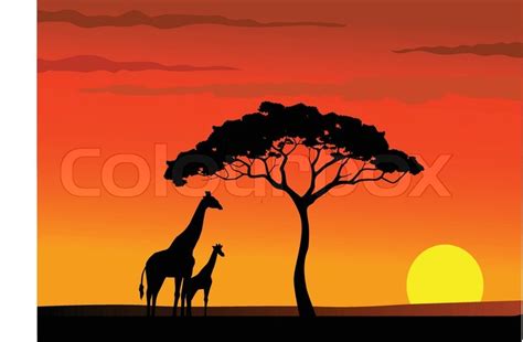Safari Africa Sunset Background Stock Vector Colourbox