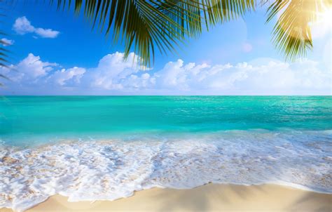 Обои песок море пляж пальмы берег Summer Beach Sea Sand Shore