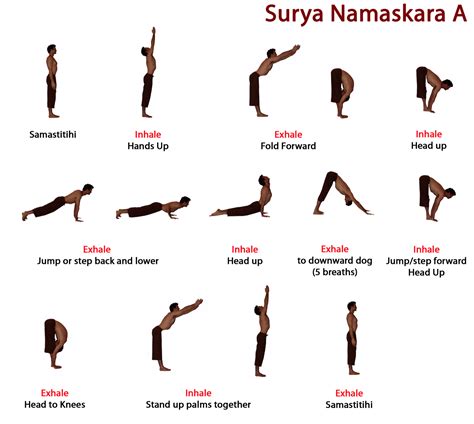 The rig veda declares that surya is the soul, both of the moving and unmoving beings. sun salutation A + B | Yogattic