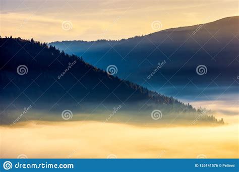 Thick Fog Above The Valley At Sunrise Stock Photo Image Of Formation