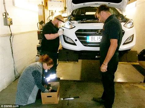 Kitten Survives A 300 Mile Journey From France To Britain Trapped In The Bumper Of A Car