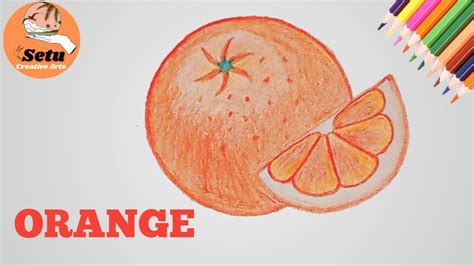 How To Draw A Orange Step By Step Drawing Orange Very Easy Youtube