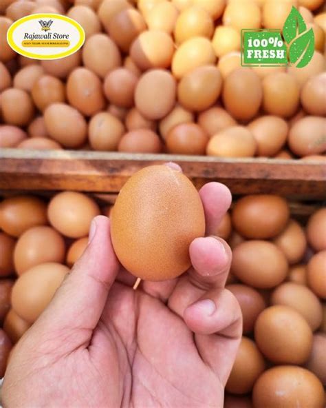 Jual Telur Ayam Negeri Berat 500 Gram Di Lapak Rajawali Store Official