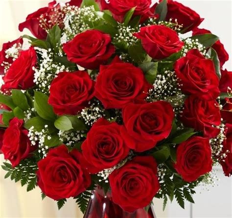 Classic 24 Red Roses Bouquet Flowers Delivery 4 U Southall Middlesex
