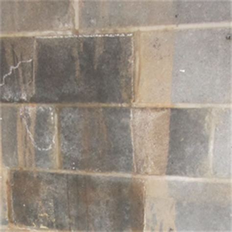 Check spelling or type a new query. Basement Water Problems | Long Island | Warning Signs