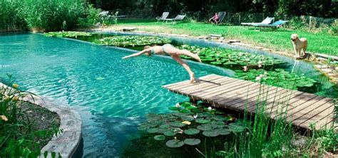 Tips Tricks For Building Out Your Own Diy Natural Swimming Pool