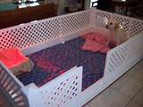 Pictures of Whelping Beds For Dogs