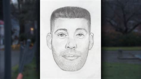 Police Release Sketch Of Suspect In Teen Sex Assault Ctv News