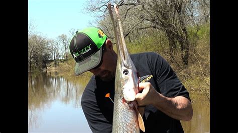 Blow gunning Giant River Gar, World Record BLOW FISHING RECORD - YouTube