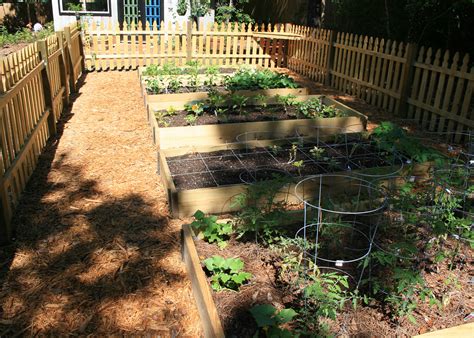 It's also a great solution for areas with poor native soil. Raised beds benefit flowers, vegetables | Mississippi State University Extension Service