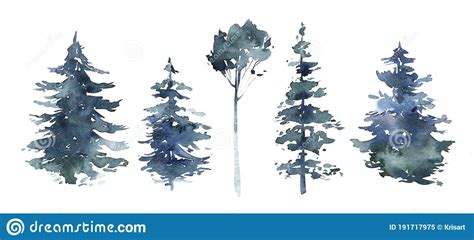 Watercolor Winter Forest Christmas Tree Landscape With Pine Trees Fir