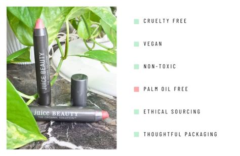 7 Organic And Eco Friendly Lipsticks For 7 Sustainable Minutes In Heaven