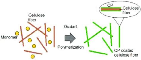 In Situ Polymerization Of Cp On Cellulosic Fibers Download