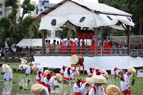 Festival Menanam Padi Di Jepang Yang Disebut Otaue