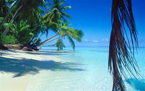Exotic Beach On Tropical Island Wallpaper Nature And Landscape Wallpaper Better