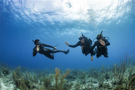Standard Safe Diving Practices For Both Scuba Divers And Freedivers