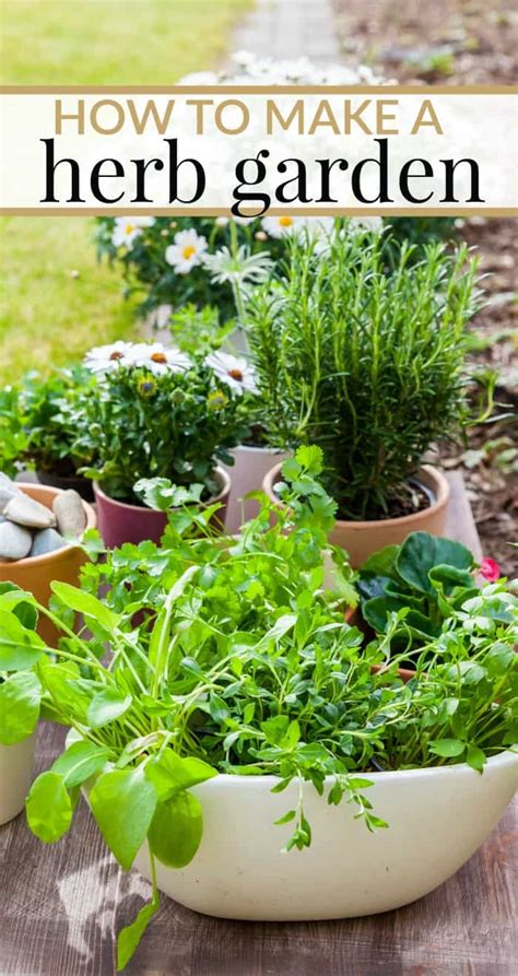 How To Make Your Own Herb Garden Mommy Moment