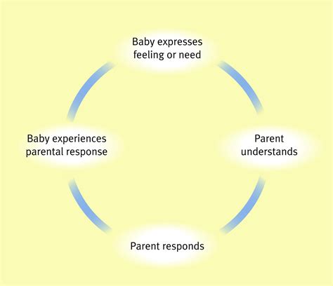 Childrens Attachments Paediatrics And Child Health